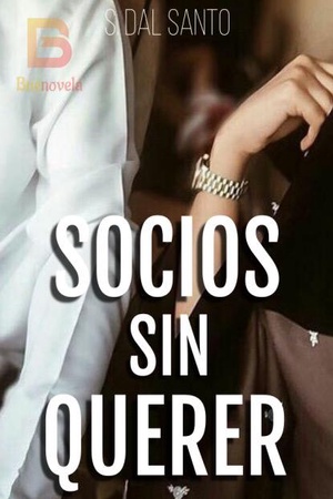 Portada de Socios Sin Querer