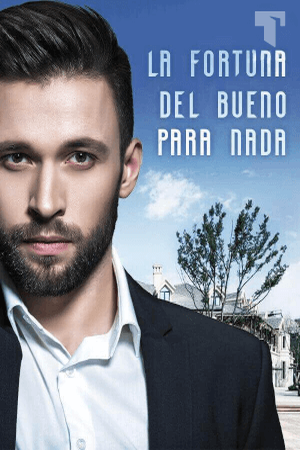 Portada de La fortuna del bueno para nada